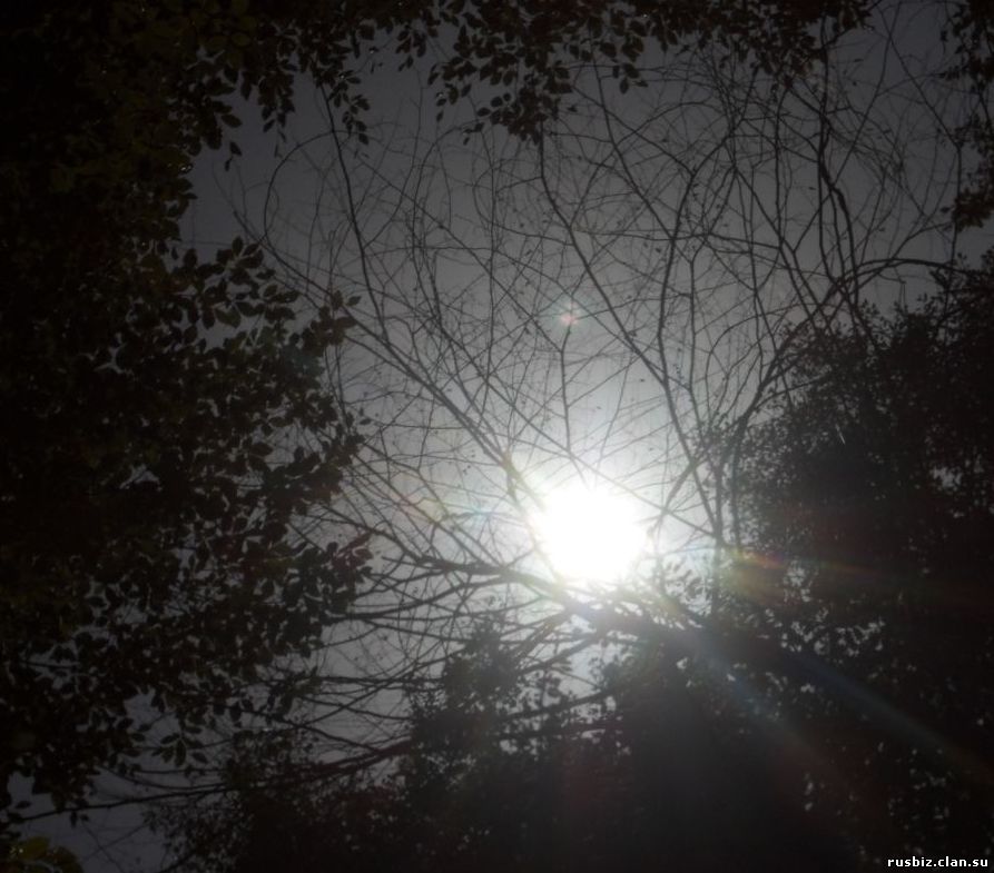 NIBIRU NASA PLANETA X 